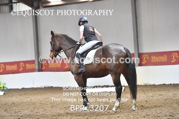 BPP_3207 - INTRO TEST 3