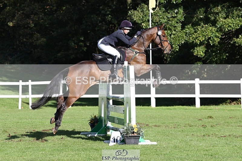 231022-111240-25032 - 617-MR.MISCHIEVOUS-Megan.Brown-TrotUp+SJ