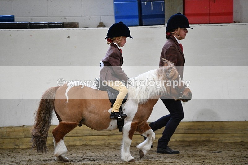 WJ5_6542 - Class 10 Childs Pony