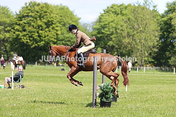 IMG_3780 - Working Hunter
