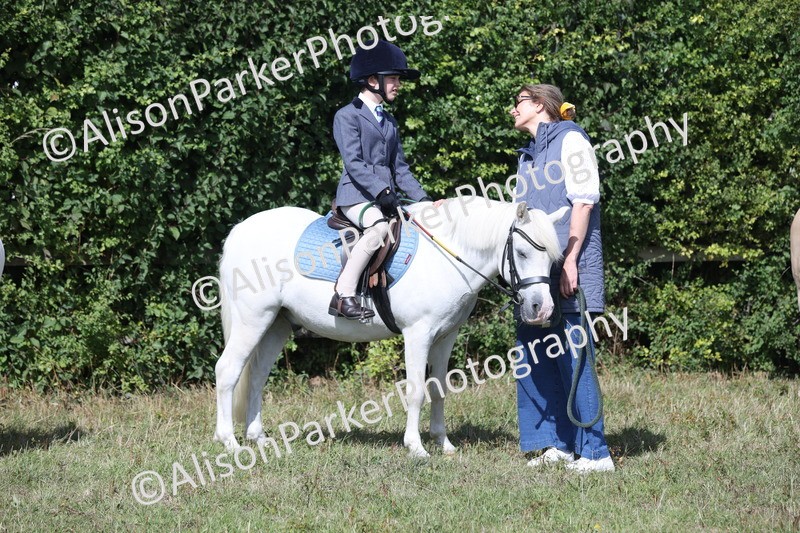 20250831-2517 - Class 16 - Family Pony