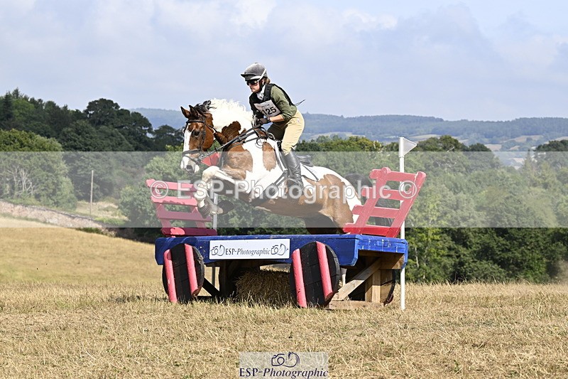 250824A-144021-38054 - 2125-Hen.Jeanes-Painted.proper