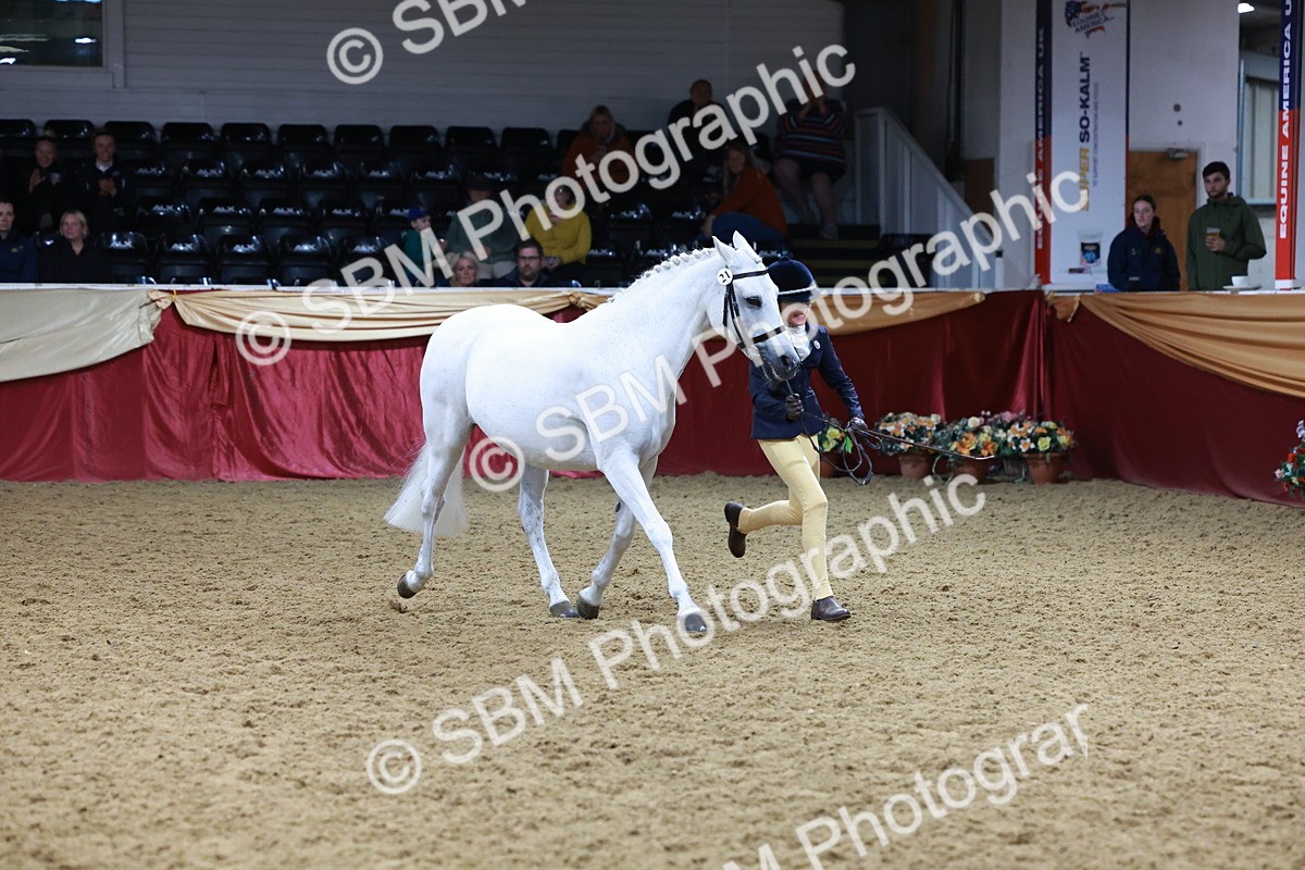 SBM_19972 - Class A - Junior Champ 10yr and Under