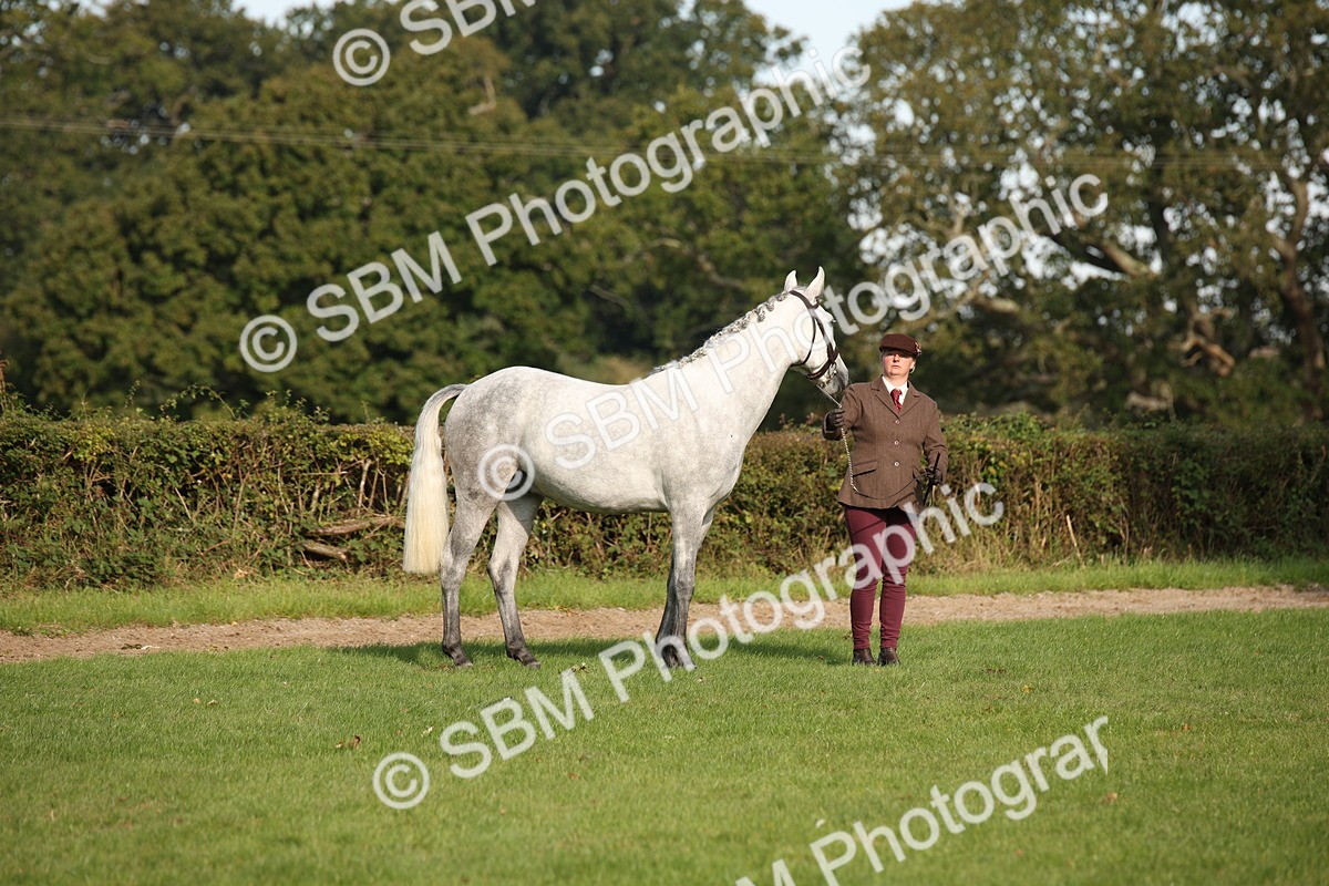 SBM_60064 - S53 - Hunter In Hand