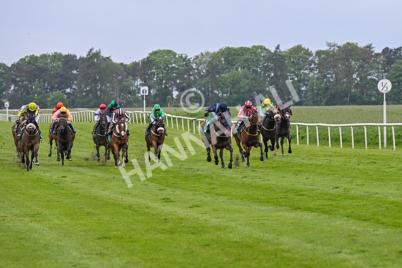 160526-Rcae 8-Run This Way-0181 - Race 8 5.57pm Sky Bet Build A Bet Handicap