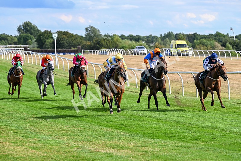 040826-Race 6-Without Flaw-5633 - Race 6 16.45pm Racing Again 17th August Handicap