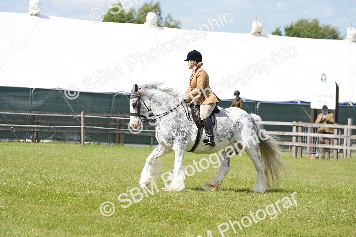 SBM_17255 - Class 107-108 - LIHS BSPS Performance Coloured Horse Pony