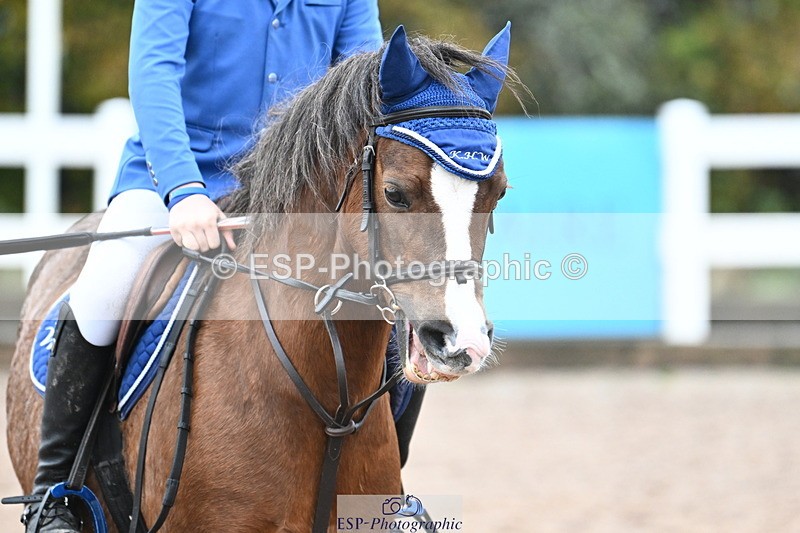 231118A-091456-00291 - Cls 2 BlueChip Pony Novice Qualifier