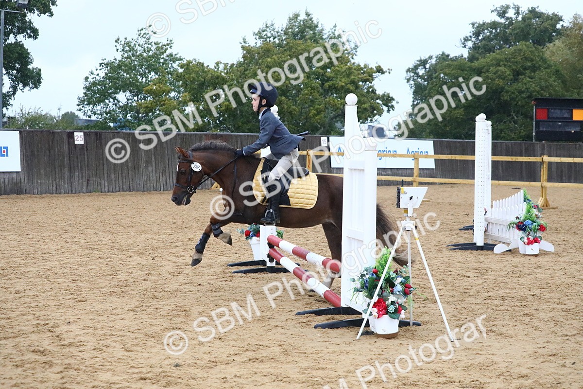 SBM_71502 - J4 - Mini Tour Junior Pony 45cm Championship