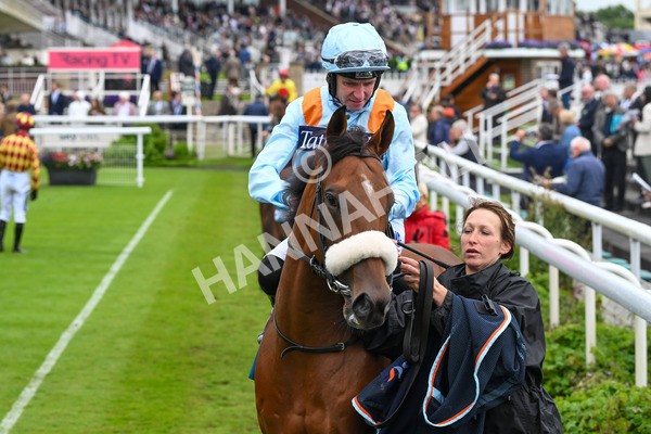 150624-Race 5-The Strikin Viking-7548 - Race 5 4.10pm Reg Griffin Appreciation ebfstallions.com Maiden Stakes