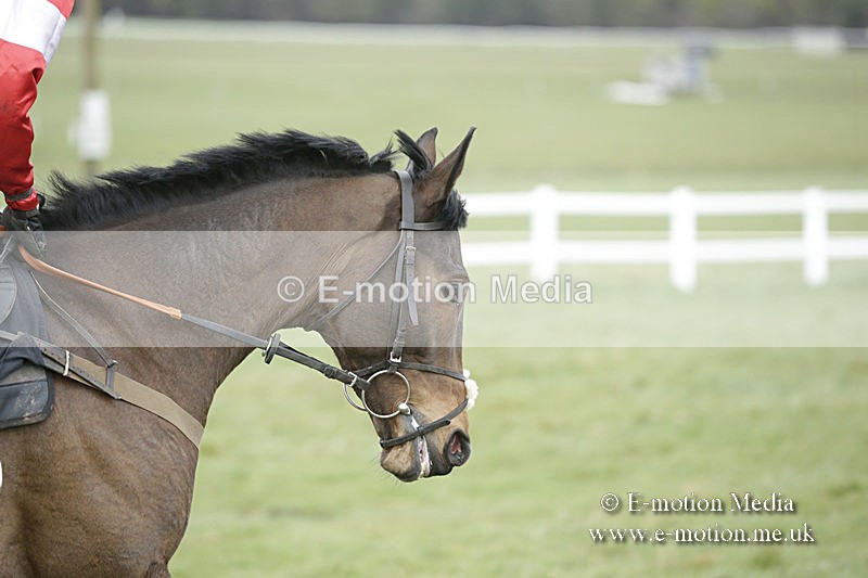 PtP 150320 0565 - New Forest Point-to-Point Larkhill 15/03/20