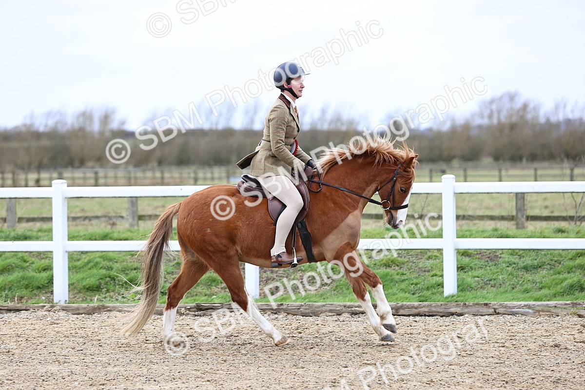 SBM_006871 - Class 29 - 30 - M&M Pure Novice Small-Large Breeds