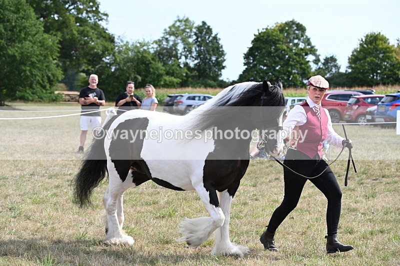 WJ6_6599 - Class 20 In-hand Cob