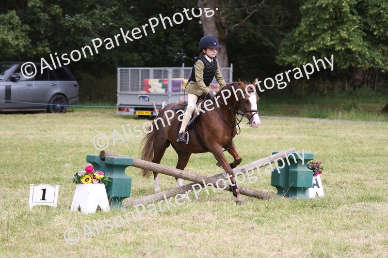 20260614-3001 - Class 22 - Open Working Hunter