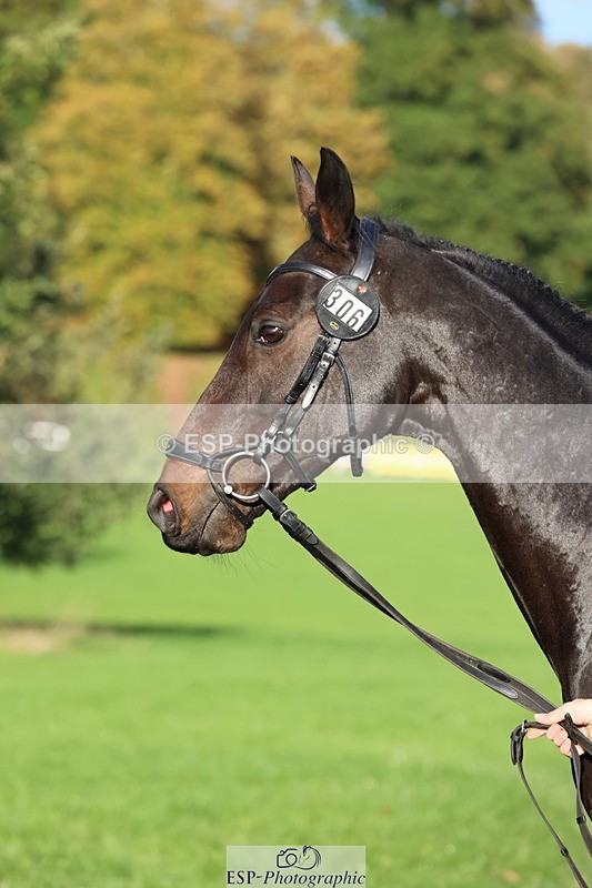 251026A-095532-22587 - D-306-Annabel.Mason