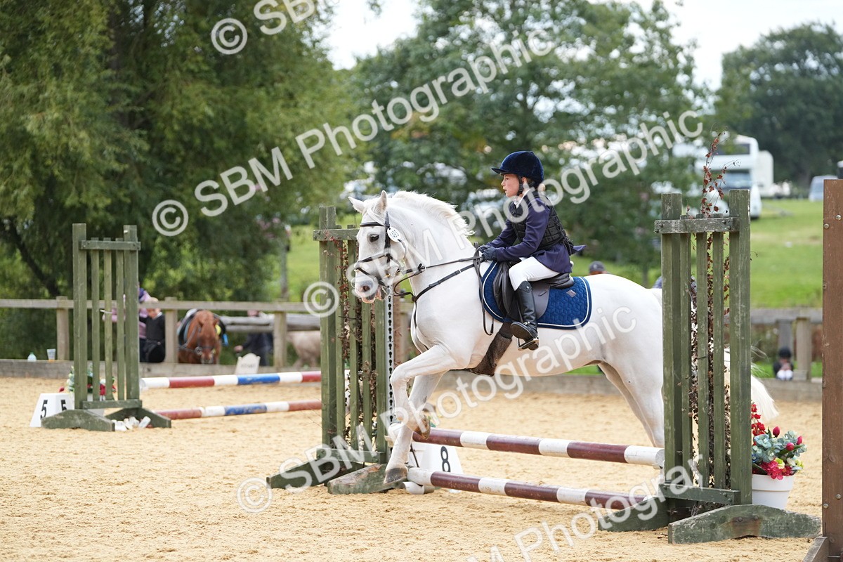 SBM_74764 - J4 - Mini Tour Junior Pony 45cm Championship