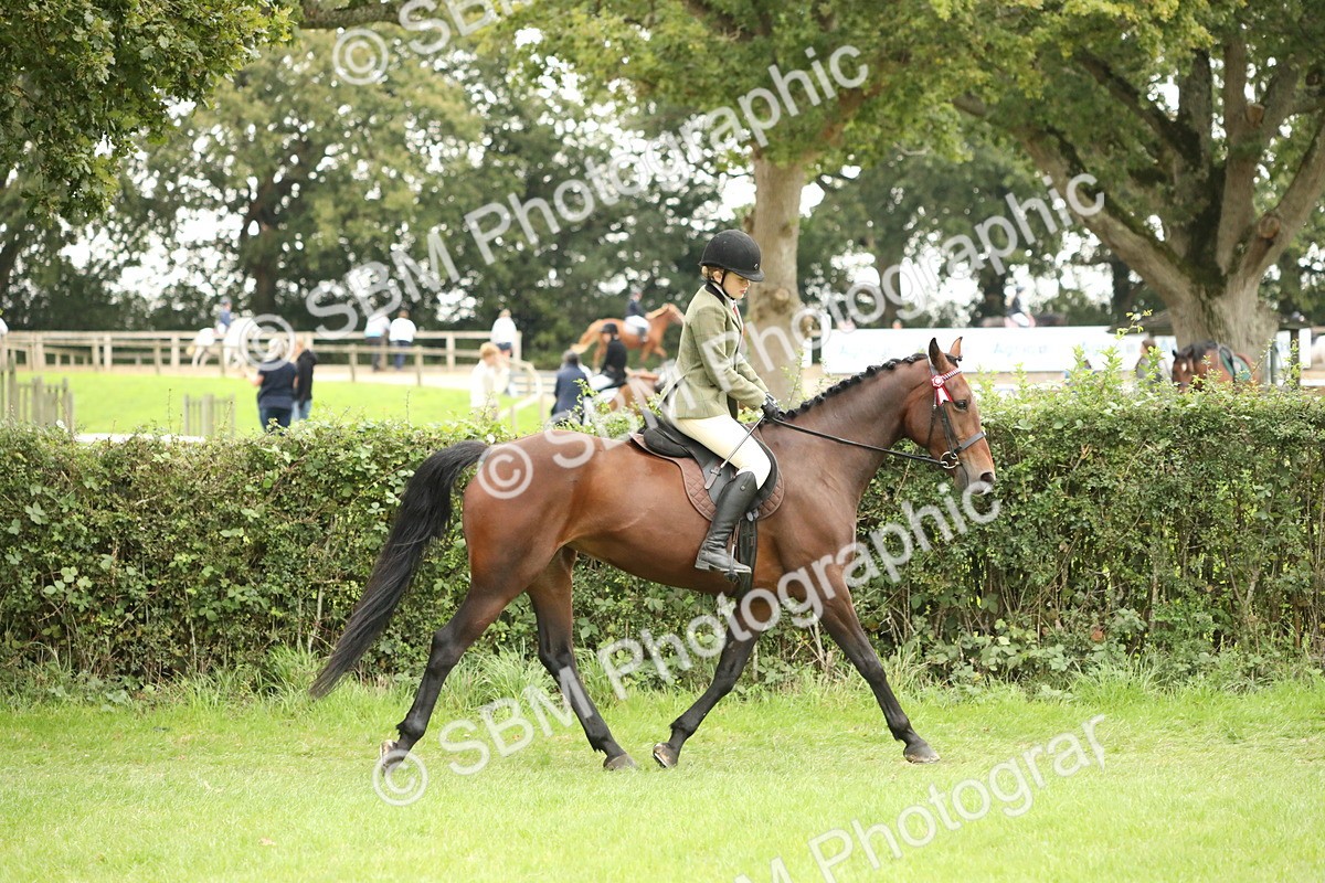 SBM_73678 - S41 - Ridden Equitation (Best Rider)