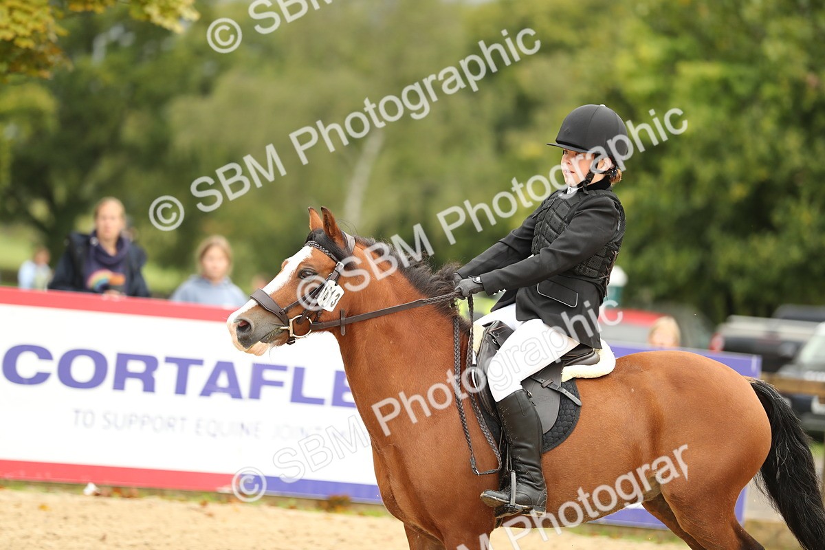 SBM_34248 - J60 Clear Round 50cm