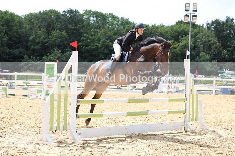 3E7A0204 - Class 9: Senior British Novice/90cm open