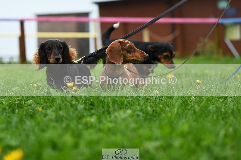 230505A-112820-03697 - Cls 21 Snr 1.20m Open