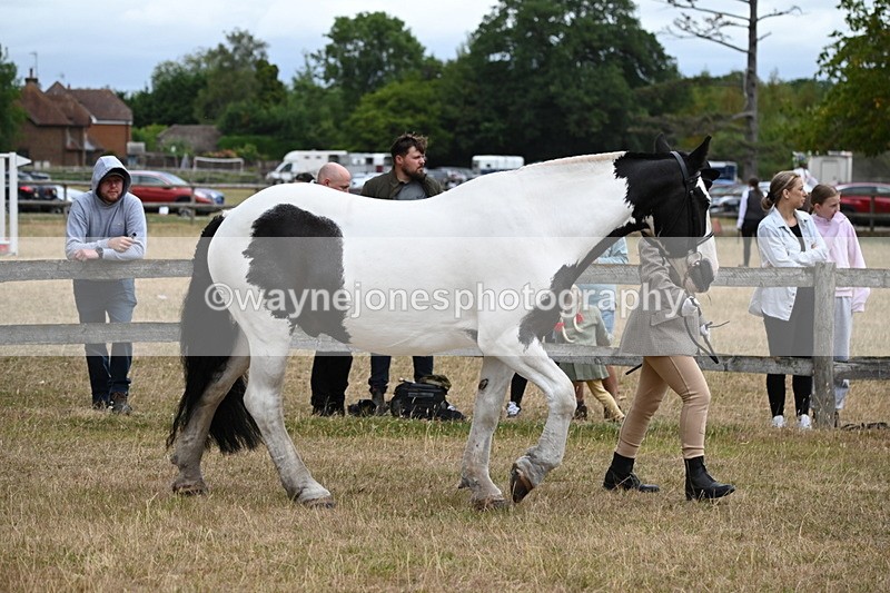 WJ6_8364 - Class 10 Coloured in Hand