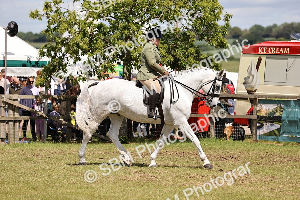 SBM_14781 - Class 88-89 - LIHS BSHA Rising Star of Ridden Hunter Type