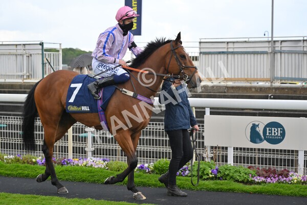 yr22052021r4-20 - Race 4 3.50pm WilliamHill.com Best Odds Guaranteed Stakes