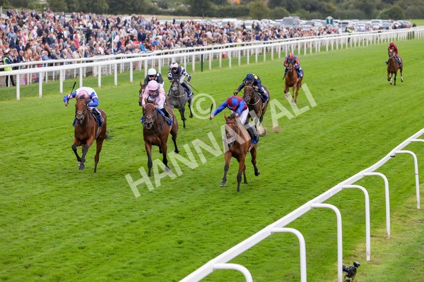 220824-Race 4-Content-7690 - Race 4 3.35pm Pertemps Network Yorkshire Oaks