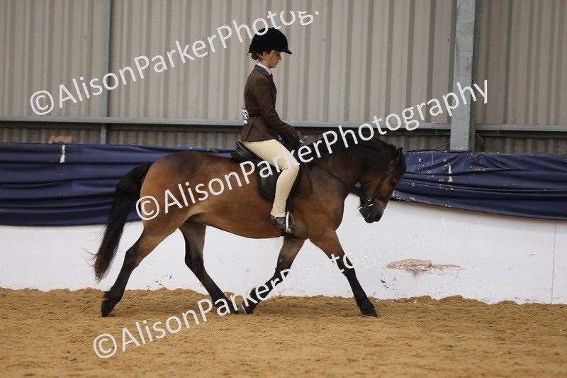 20260913-0615 - Class 126 - Novice Ridden