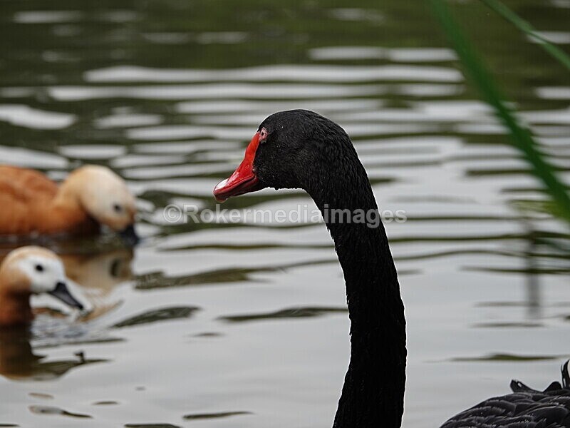 CHINA__0113 - China 2019