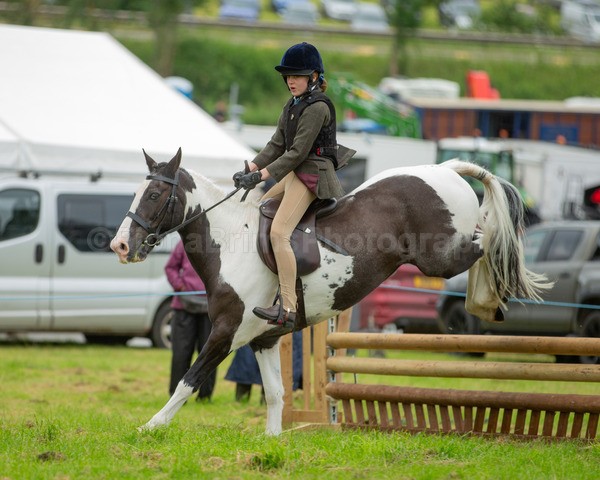 Dunblane show-339 - Dunblane and Doune Show Ring 1