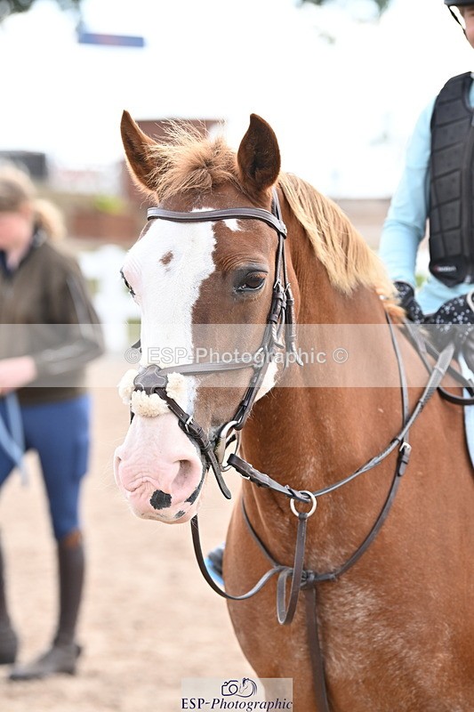 250821B-121829-00387 - Group D - Thomasina