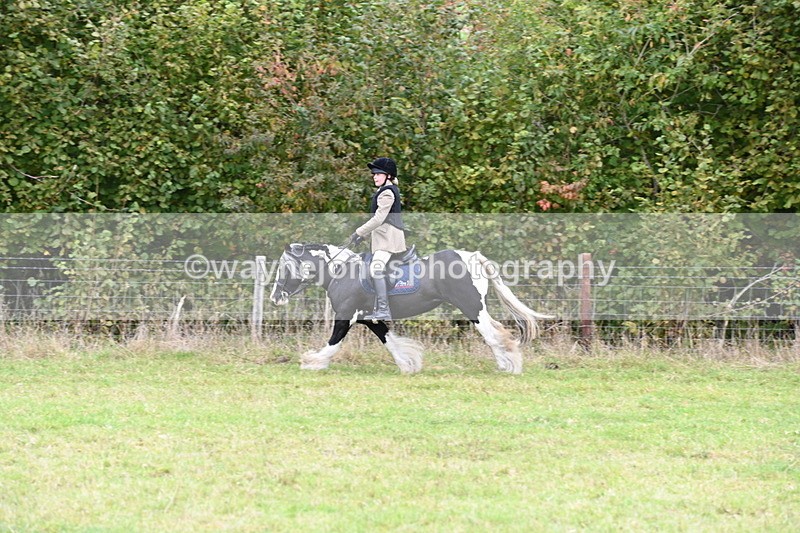 WJ6_0806 - Camera 2 Line 1