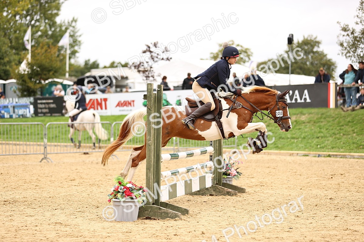 SBM_65565 - J17 - Junior Pony 80cm Championship