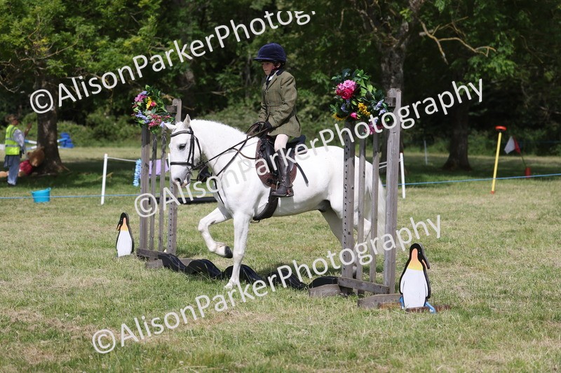 20260614-0654 - Class 20 - Beginners Working Hunter Pony