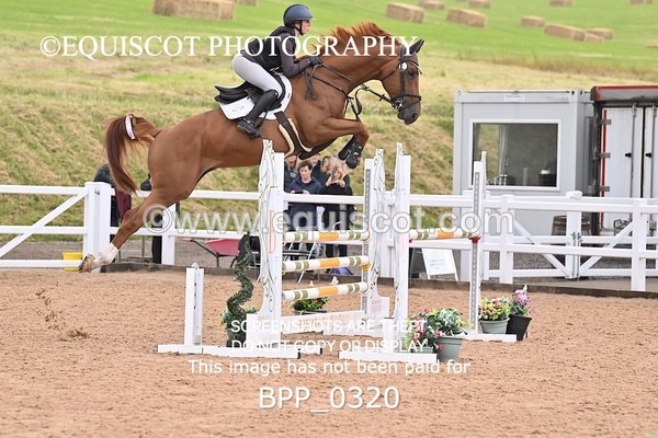 BPP_0320 - CLASS 26 SUN 5 Year Old Non Qualifier