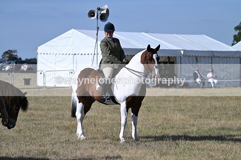 WJ7_2890 - Class 8 Ridden Tack & Turnout