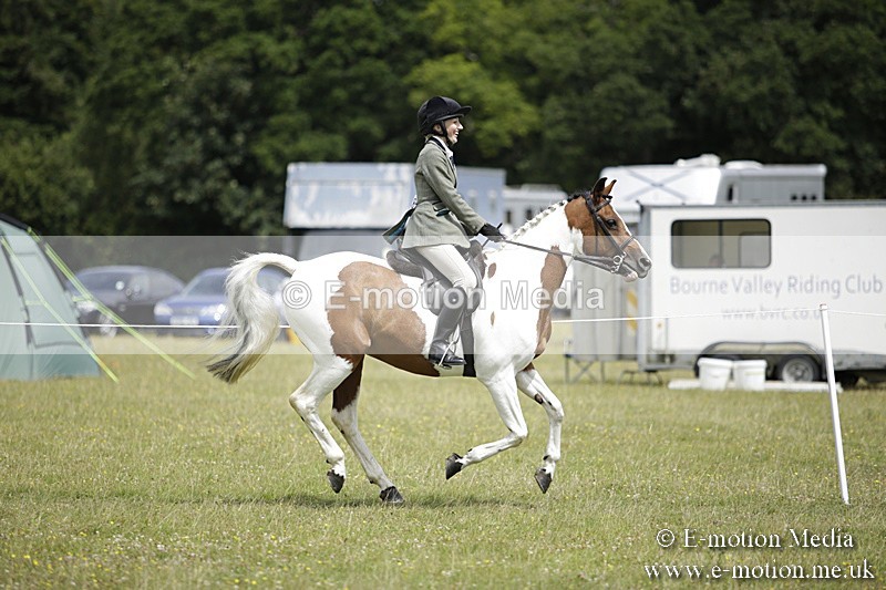 BVR160717-1914 - Ring 1 BVRC Show 16/07/17