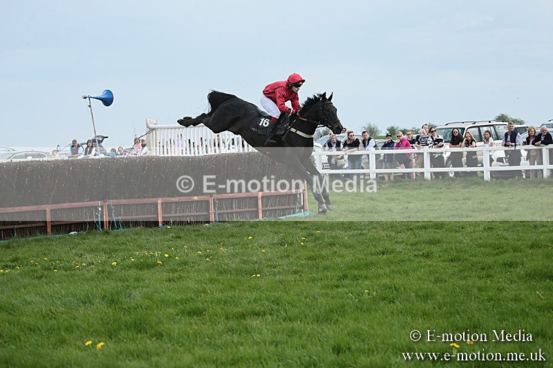 PtP 210418 208 - South & West Wilts Point-to-Point Larkhill 21/04/18