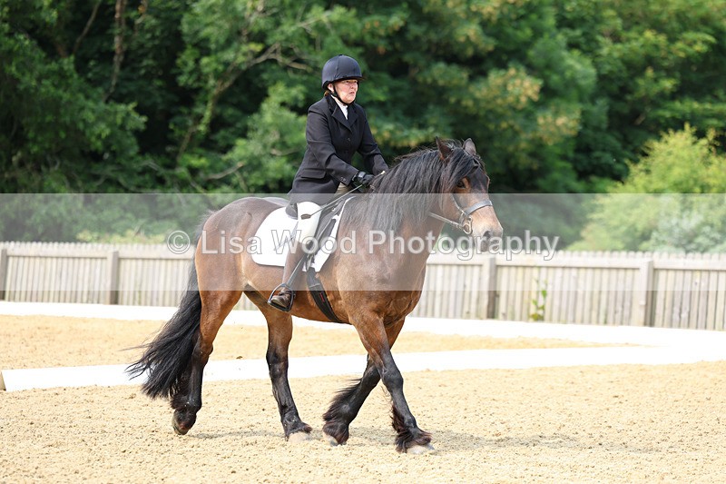 3E7A9060 - Class 2: Intro 1 2024 Section B