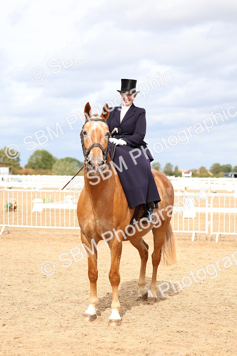 SBM_03343 - Class 23 - SSA Classical (any age)
