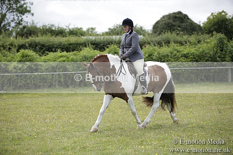 BVR160717-1892 - Ring 1 BVRC Show 16/07/17