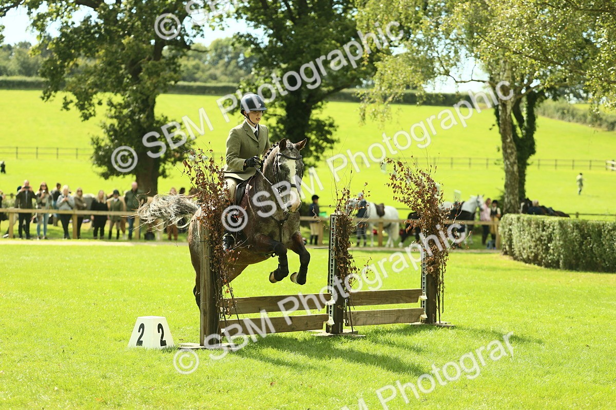 SBM_42131 - S29 - Novice & Newcomers Working Hunter Pony