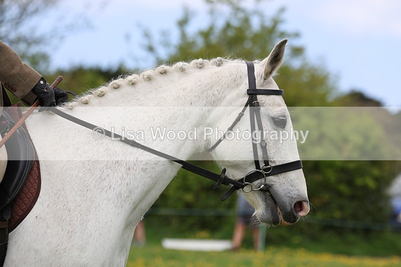 3E7A1241 - Class 7: Ridden Hunter Type