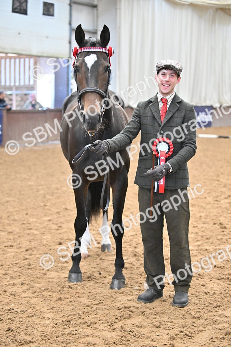 EB7_8433 - Class 3 - In Hand Foreign Breeds & Warmbloods