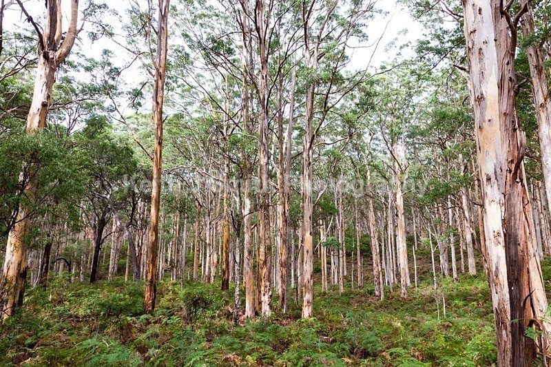 6SKJ4263 - Worldwide