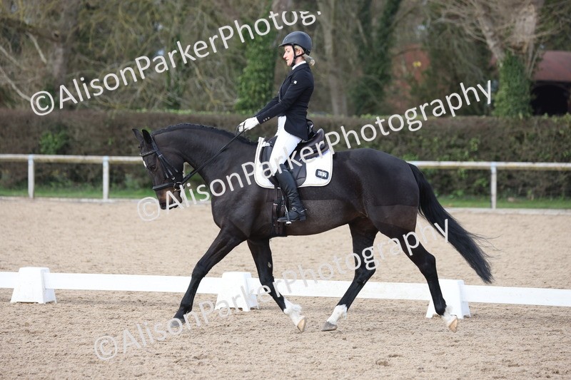 20260301-0800 - Class 5 - Elementary 4