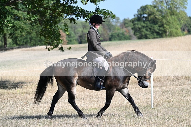 WJ7_2911 - Class 8 Ridden Tack & Turnout