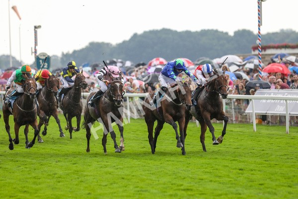 100923-Race 6-Anjo Bonita-3988 - Race 6 4.25pm Hanson Springs 60th Anniversary Handicap at York
