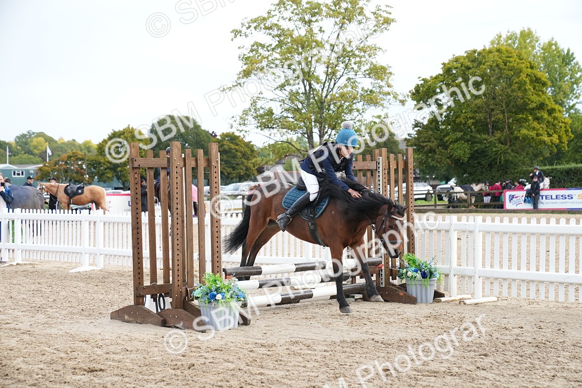 SBM_01948 - J54 - Clear Round 50cm